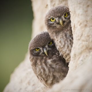 Подмога не заставила себя долго ждать..