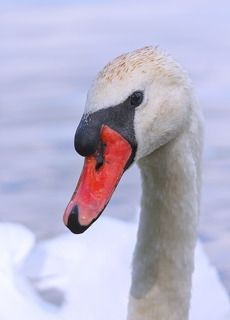 Посейдон. 2024_07_31