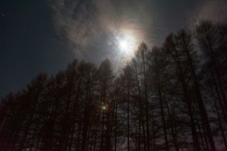 Ночная луна освещала мне путь с работы )