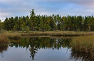 Восход где-то за облаками. Сентябрь.