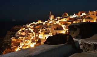 На улицах появляются хранители Ии – собаки. Во многих городах Греции увидеть свободно разгуливающую (без хозяина) собаку практически невозможно. Тут же они свободно бегают, позвякивая бубенчиками на своих ошейниках и пристают к редким прохожим: ластятся, бегут следом, ждут рядом (притворяясь спящими), если их временный хозяин, делает остановку, и даже подсказывают  удачное направление для прогулки настойчивым скулежом или тявканьем.