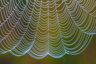 Совершенство