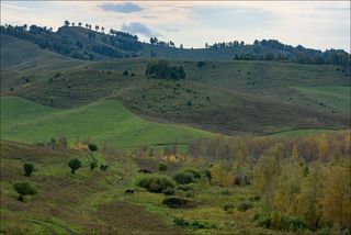 Пастораль среднего Алтая