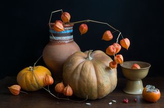 Из фотосессии с физалисом