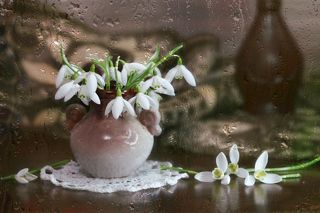 Подснежники