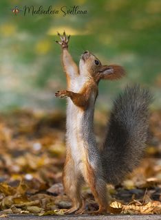 Руку мне дай по середине пути.