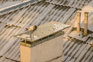 Любовь между нами...