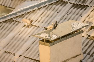 Конкурент..