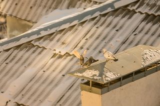 Защищайся..