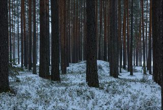 Рассвет у озера