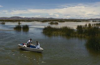 А это у подросших деток, вероятно, романтическая встреча)