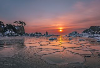 Зима. Февраль 2025 года. Приморье. Природа  подарила прекрасную погоду для съемок, рассветы и закаты, облака и солнце каждый день транслировали невероятную красоту этого мира)