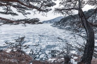 Зима. Февраль 2025 года. Приморье. Природа  подарила прекрасную погоду для съемок, рассветы и закаты, облака и солнце каждый день транслировали невероятную красоту этого мира)