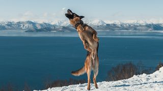 Скоро весна