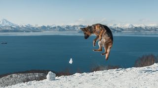 Веселья час