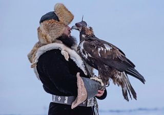 Фестиваль Беркутчи