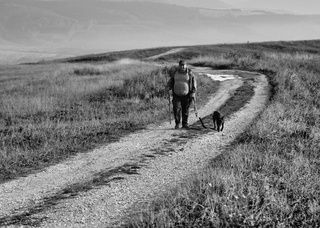 On the way to the pasture