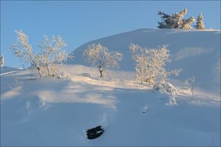 Безоблачное утро на склоне