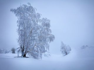 Я буду рядом