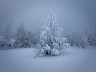 Одиночество