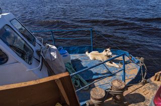 Расслабуха:)