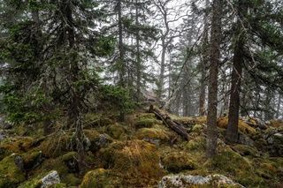 Гора Большая Калагаза. НП Зюраткуль