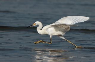 Ну а потом.... пробежка