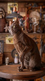 Когда хватанула батиного самогона