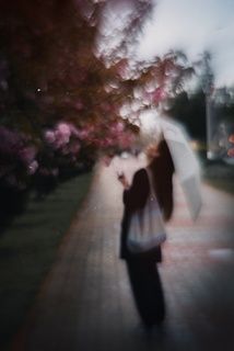 Гелиос 44-2 (Petzval mode)