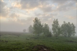 Нежный восход на краю поля