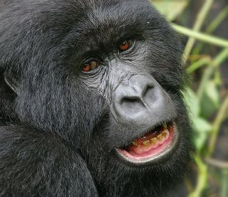 Да ладно те)