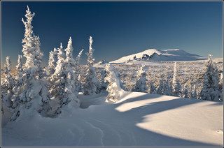утро с видом на крест