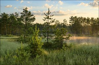 Солнечные прострелы утреннего солнца