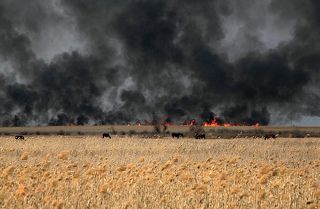 Фотография сделана в Астраханской области летом 2012 года во время работы в противопожарной экспедиции Гринпис России.