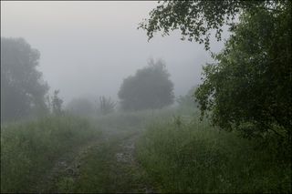 Дорога к речке, светает.