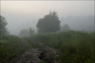 Дорога к речке, рассвет.