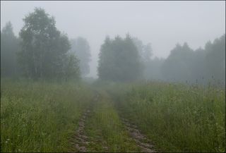Дорога от речки, рассвет.
