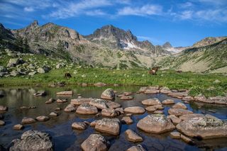 В горах Рудного Алтая