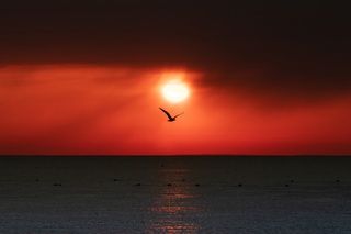 Вечер в Витязево