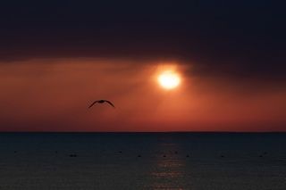 Вечер в Витязево