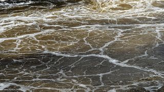 01 Воды реки после Большого Курейского водопада надолго насыщены воздухом…