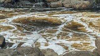 02 … и покрыты пеной