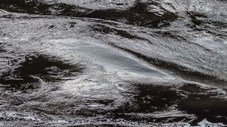 02 Бурные перекаты чередуются тут с участками относительно спокойной воды