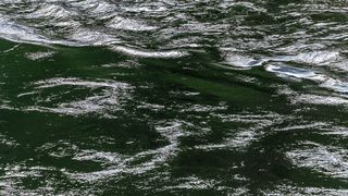 03 Отражения зелёных берегов добавляют картине пикантности