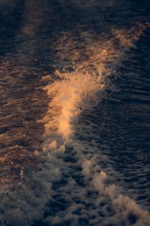 Golden reflections transform waves into fleeting abstract art.