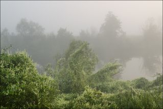 Туманное утро на Упе