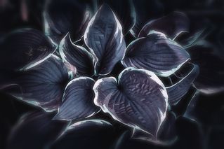 Плавные линии вьются вьюном-2