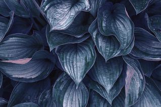 Плавные линии вьются вьюном-3