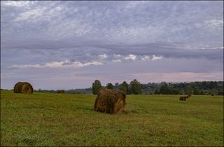 Цвет почти ушёл, а солнце не может выбраться из-за облаков.