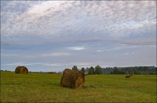 Красивая облачность августовского утра